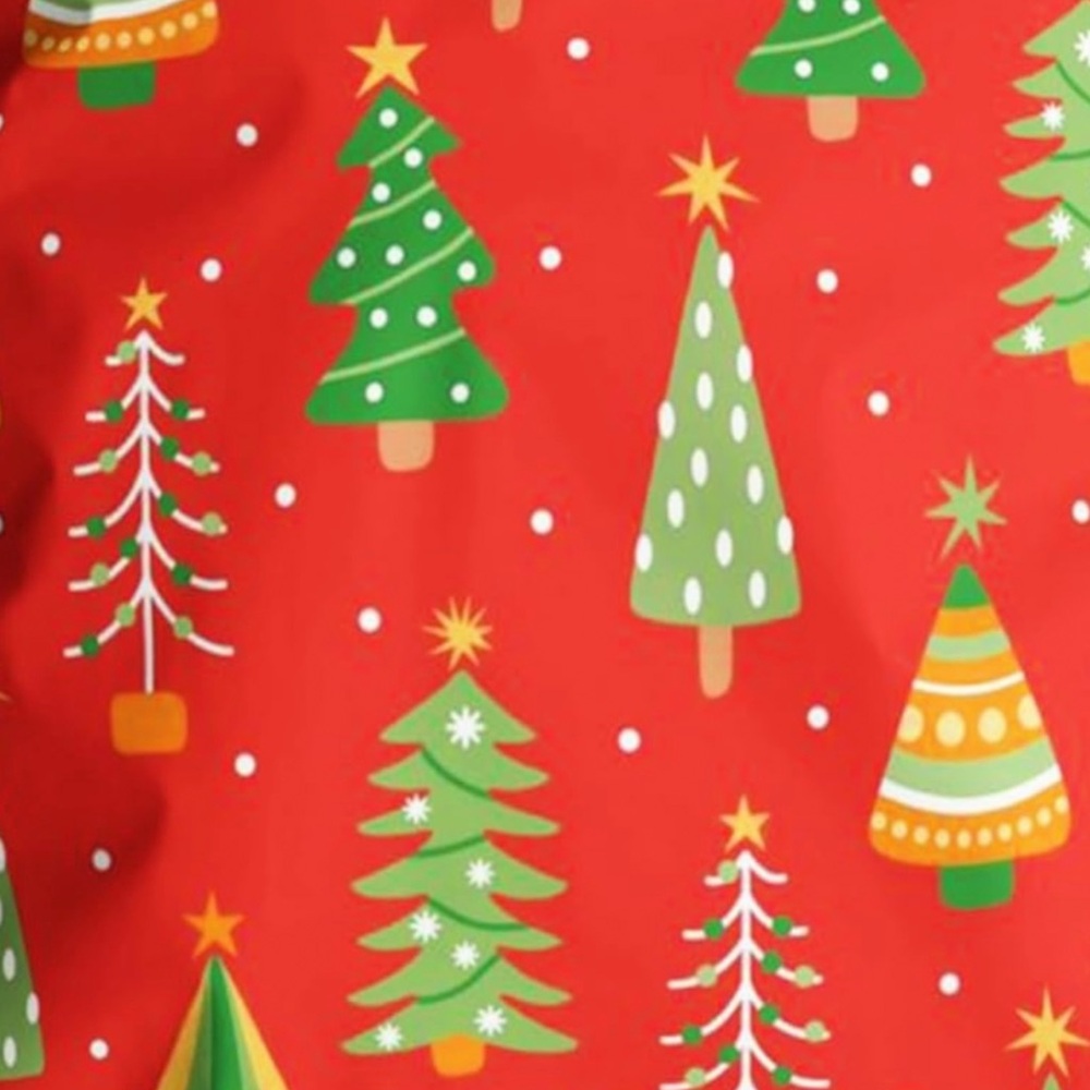 Poly mailers 10x13